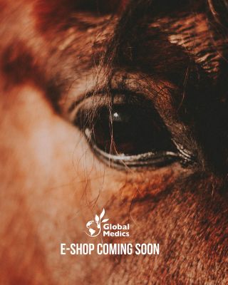 E-shop už brzy online!