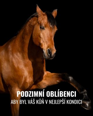 Podzim je tu a s ním i potřeba posílit imunitu, dýchací cesty a celkovou kondici vašeho koně. Naše Fall Favourites...